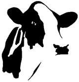cow-stencil