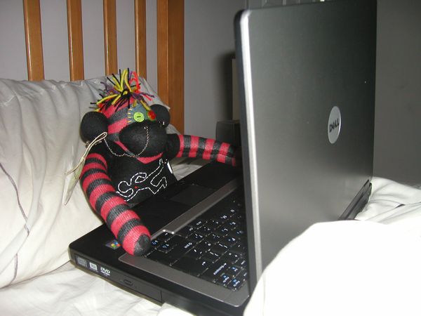 Jonny Sock Rules 'Sup, humans?