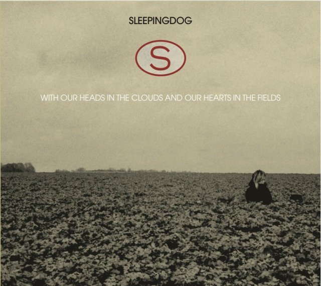 sleepingdogcover