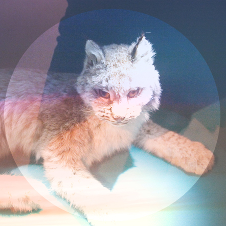 Interview – Simian&nbsp;Ghost