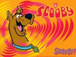 Source: http://scoobydoo.wikia.com/wiki/Scoobypedia