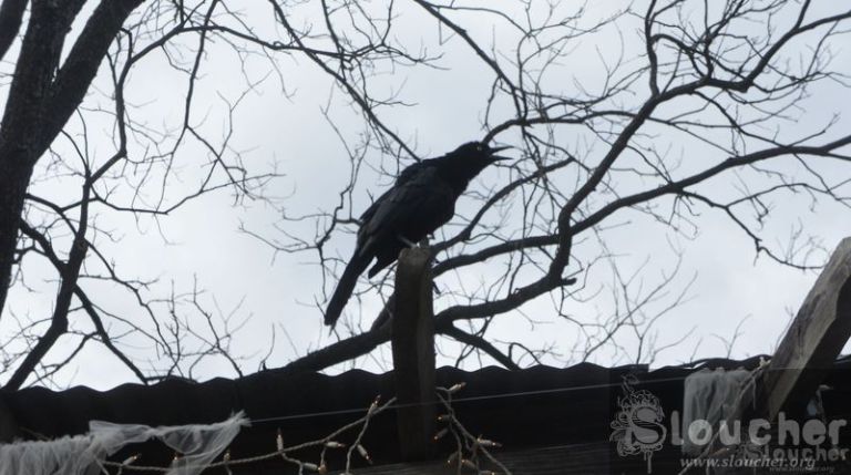 Telcel's roaming charges agent. 