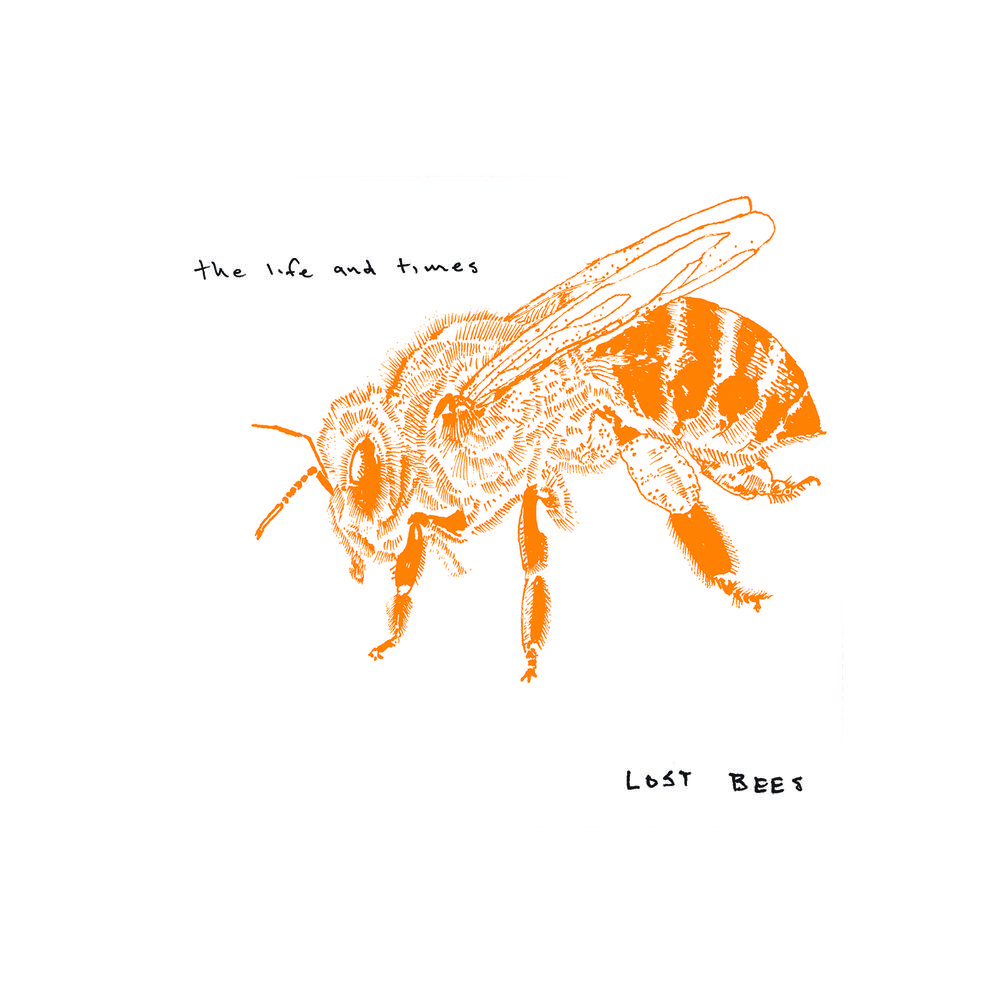 Review: The Life and Times – Lost&nbsp;Bees