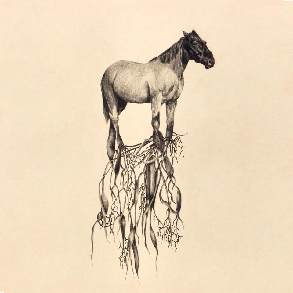 Cover art: Heidi Landau theheidilandau.com