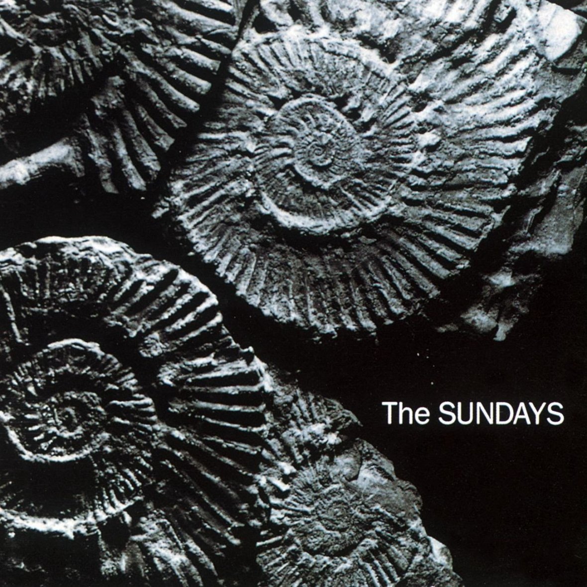 sundays