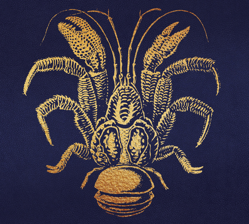 Review: The Scaramanga Six – The Terrifying&nbsp;Dream