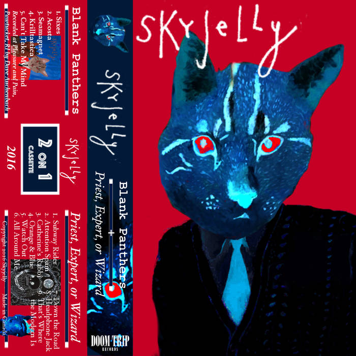 Review: Skyjelly – Blank Panthers / Priest, Expert, Or&nbsp;Wizard