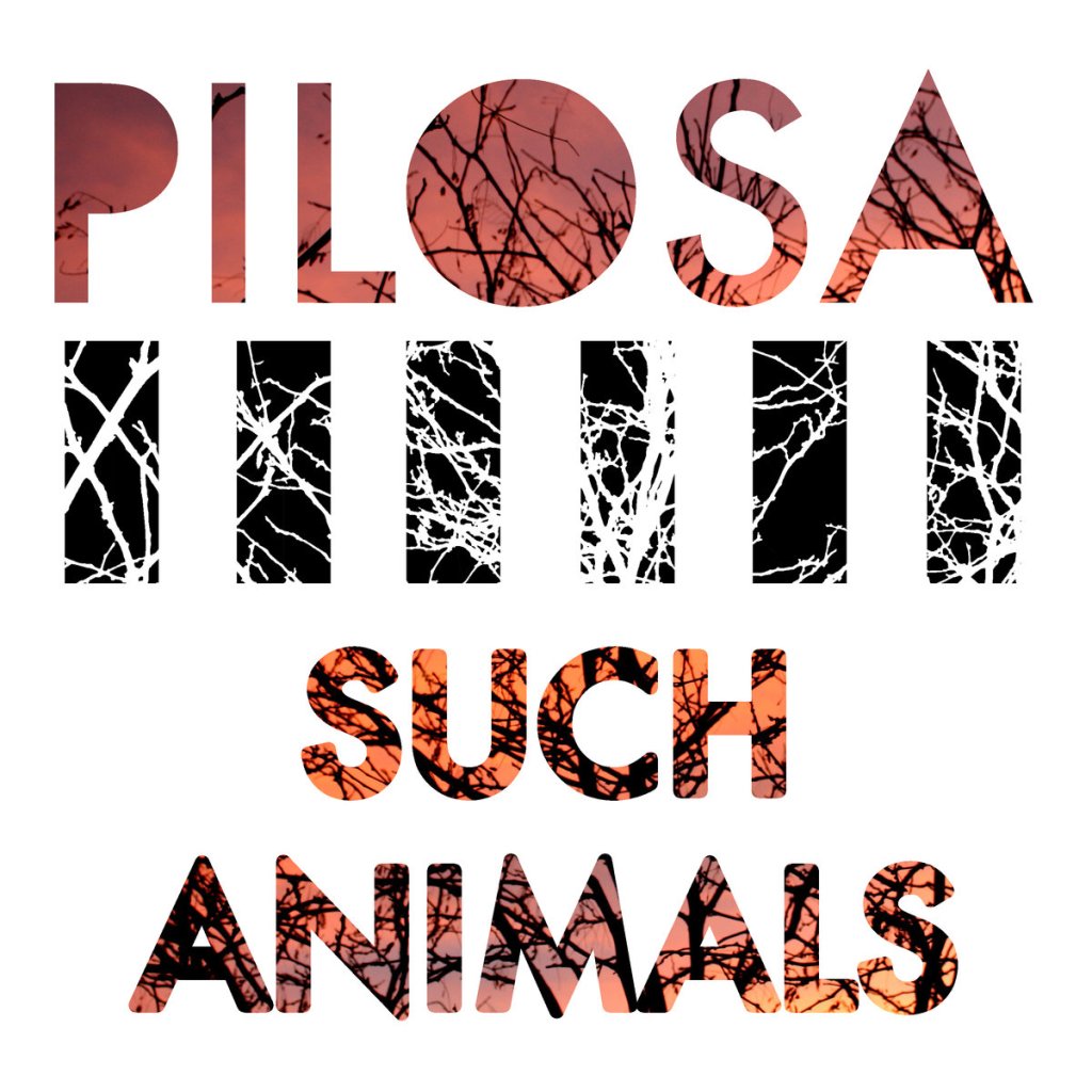 Review: Pilosa – Such&nbsp;Animals