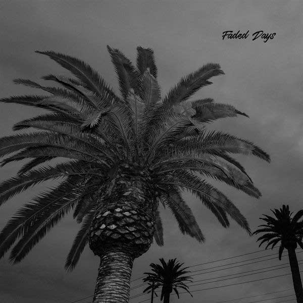 Review: Actual Wolf – Faded&nbsp;Days