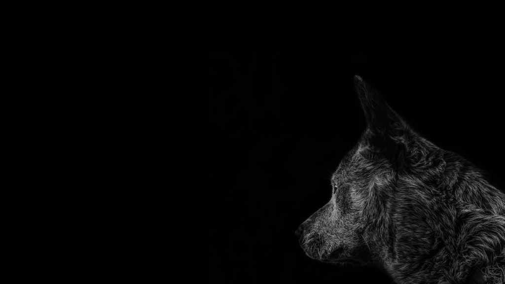 Wake up to… New Ghost – The Wolf of&nbsp;Allendale