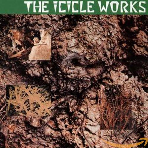 The bit that you skip #96: The Icicle Works – Whisper to a scream (birds&nbsp;fly)